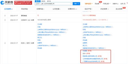 信息技術(shù)咨詢服務(wù)的價(jià)值與未來發(fā)展